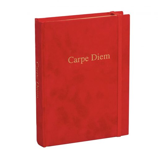 Diary 'Carpe Diem', plain, velvet cover with gold embossing and gilding | 4004117517525 | 356152