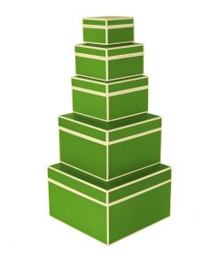 Set of 5 Gift Boxes, lime | 4250053641774 | 352156